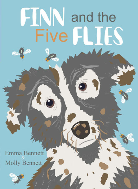 Finn and the five flies